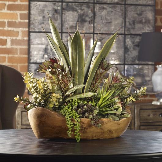Salar Succulents In Teak Bowl by Uttermost