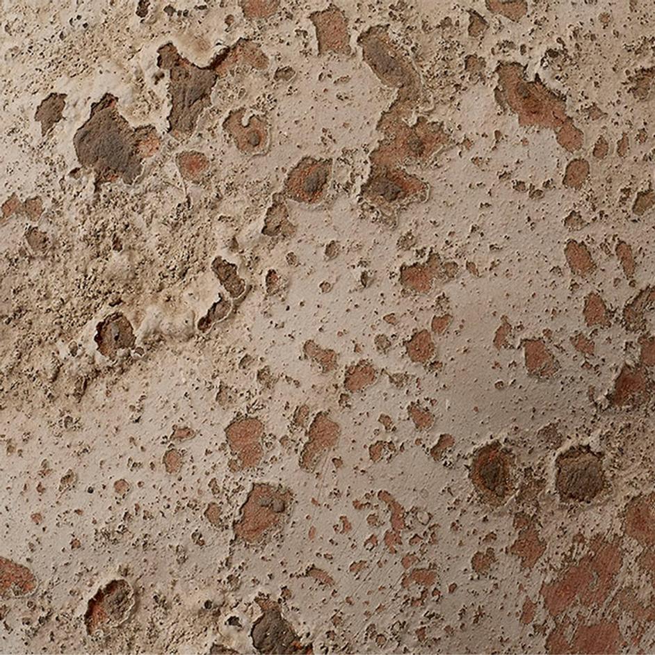 Root Ceramic Decorative Vase by Jamie Young