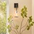 Tear Drop Hanging Wall Sconce, Clear Glass and Bronze by Jamie Young
