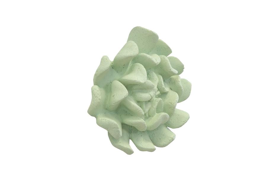 Topsy Turvy Succulent Wall Art, Jade by PHILLIPS COLLECTION