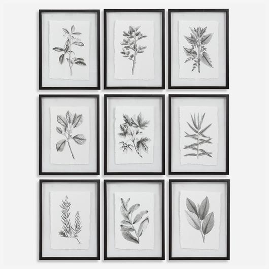 Farmhouse Florals Framed Prints, S/9 by Uttermost