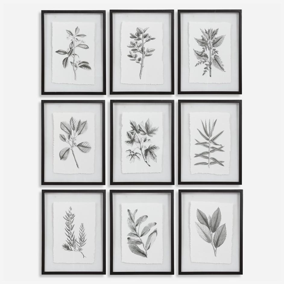 Farmhouse Florals Framed Prints, S/9 by Uttermost