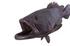Estuary Cod Fish Wall Sculpture, Copper Patina by PHILLIPS COLLECTION