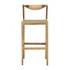 Sienna Outdoor Barstool by Curated Collections