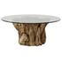 Driftwood Glass Top Large Coffee Table by Uttermost