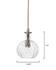 Sophia Carafe 1-Light Glass Pendant by Jamie Young