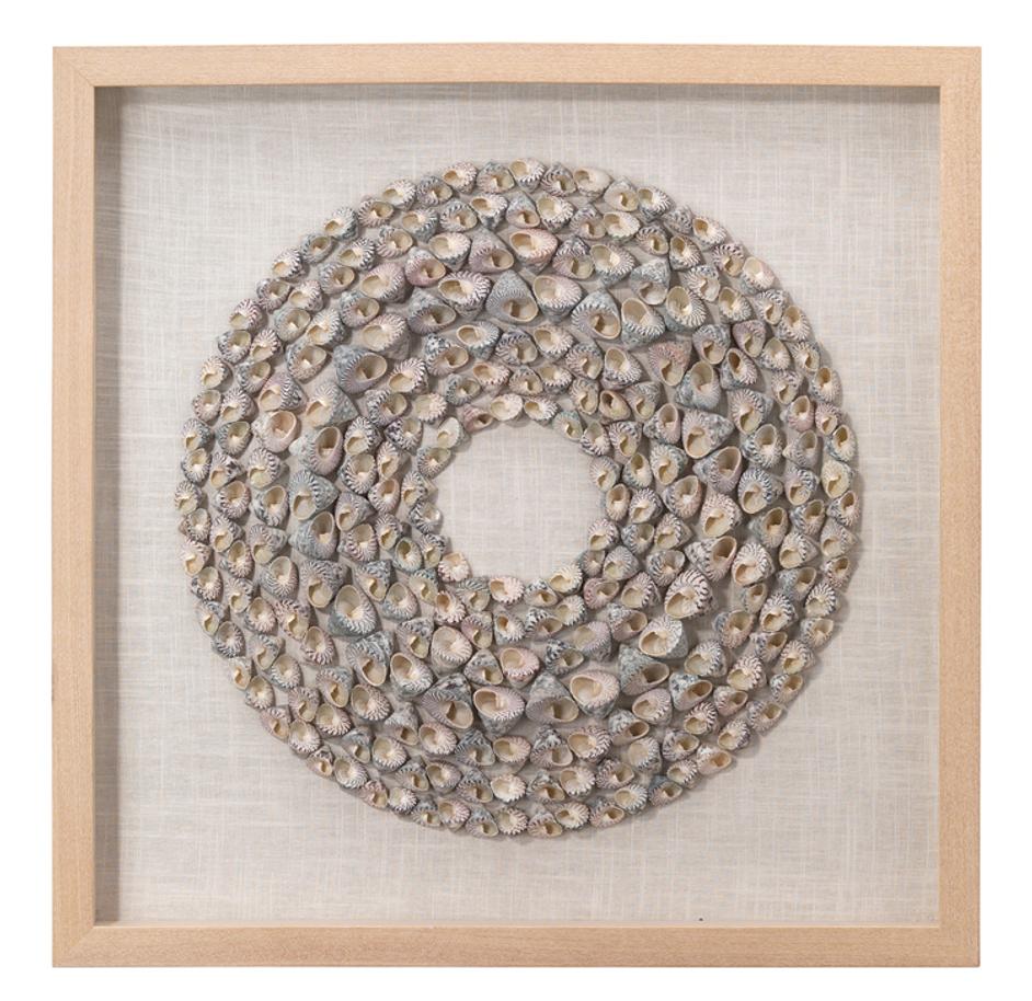 Bora Bora Framed Wall Art, Taupe Snail Shell by Jamie Young