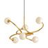 Signature Chandelier by Corbett