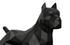 Pitbull Facet Sculpture, Matte Black by Phillips Collection