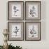 Casual Grey Study Framed Art Set/4 by Uttermost