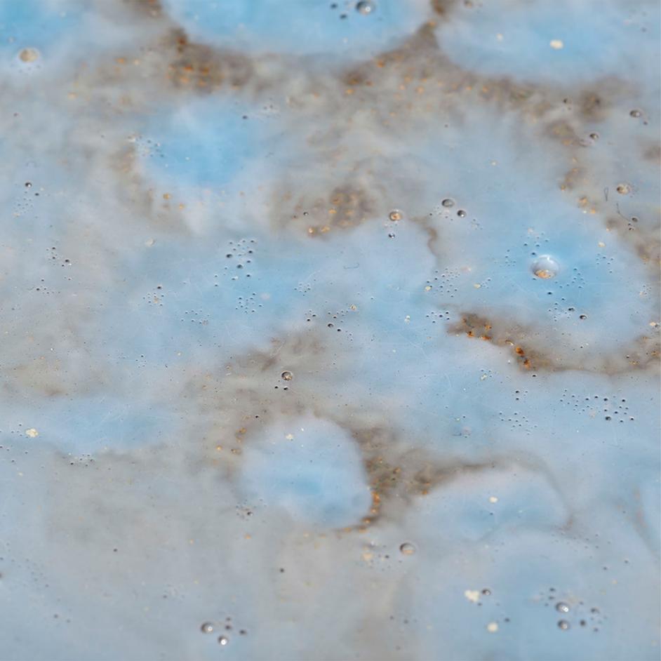 Crustacean Ceramic Decorative Bowl, Small by Jamie Young