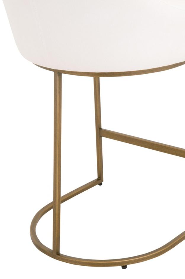 Parissa Counter Stool, Set of 2 by Essentials For Living