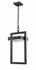 Luttrel 1 Light Outdoor Chain Mount Ceiling Fixture in Black Finish by Z-Lite