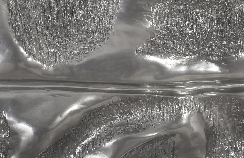 Petiole Wall Leaf, Liquid Silver, Colossal, Version B by PHILLIPS COLLECTION