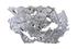 Burled Root Wall Art, Silver Leaf, Large by PHILLIPS COLLECTION