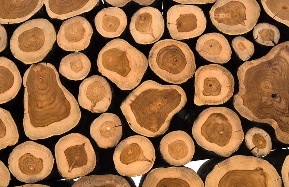 Boscage Coffee Table on Black Metal Legs, Rectangular by PHILLIPS COLLECTION