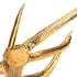 Gilded Elk Antler, single by Gold Leaf Design Group