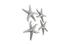 Star Fish, Silver Leaf, Set Of 4, Medium by PHILLIPS COLLECTION