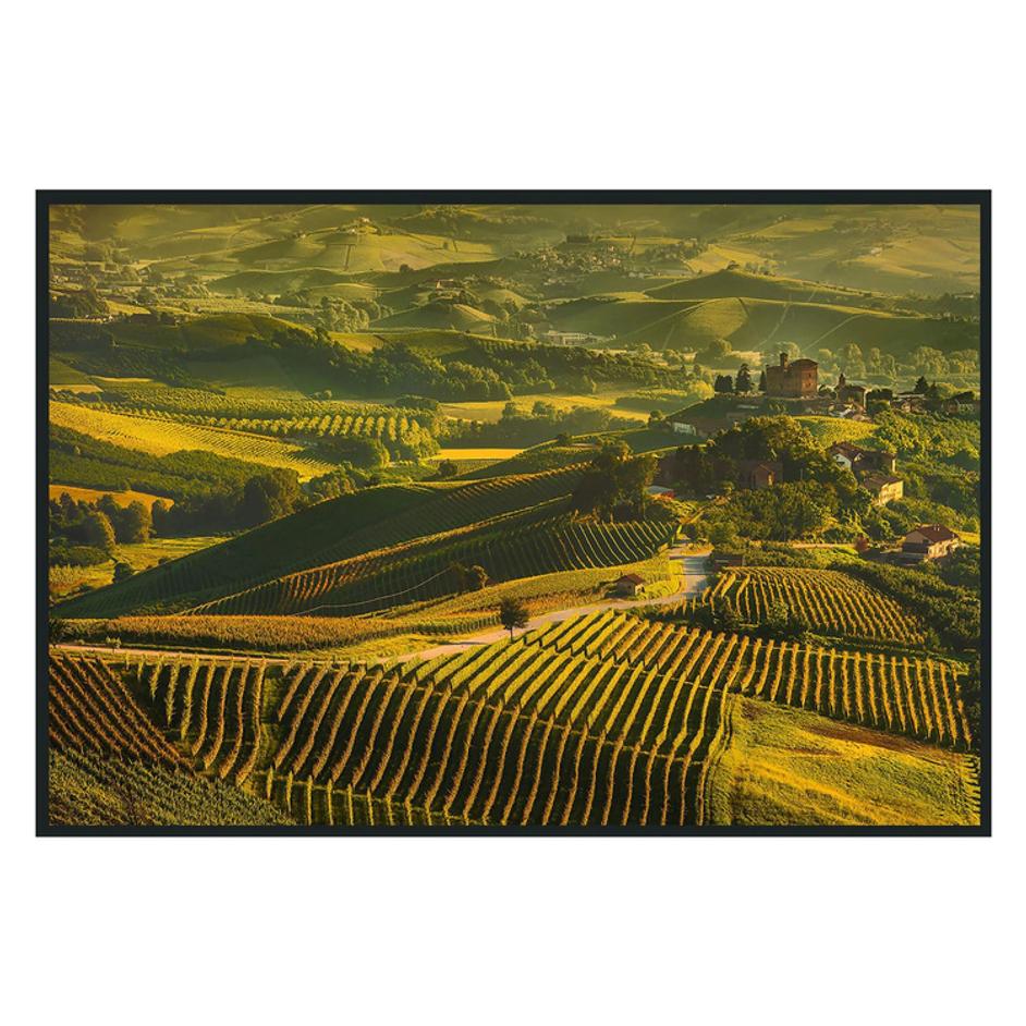 Vinyard Photography 48x72 by Classic Home