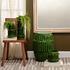 Algae Ceramic Indoor/Outdoor Side Table, Green by Jamie Young