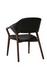 Chavez Arm Chair by Furniture Classics
