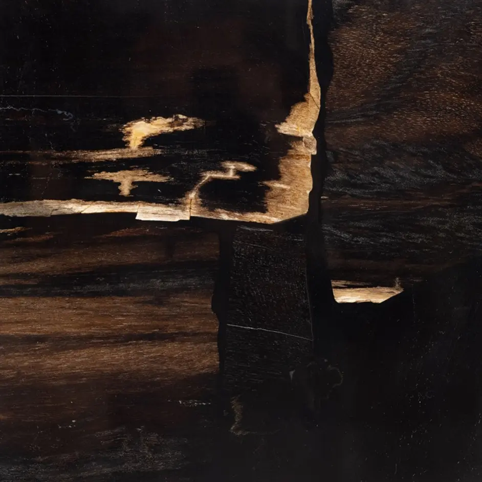 Shep End Table In Polished Petrified Wood by FOUR HANDS