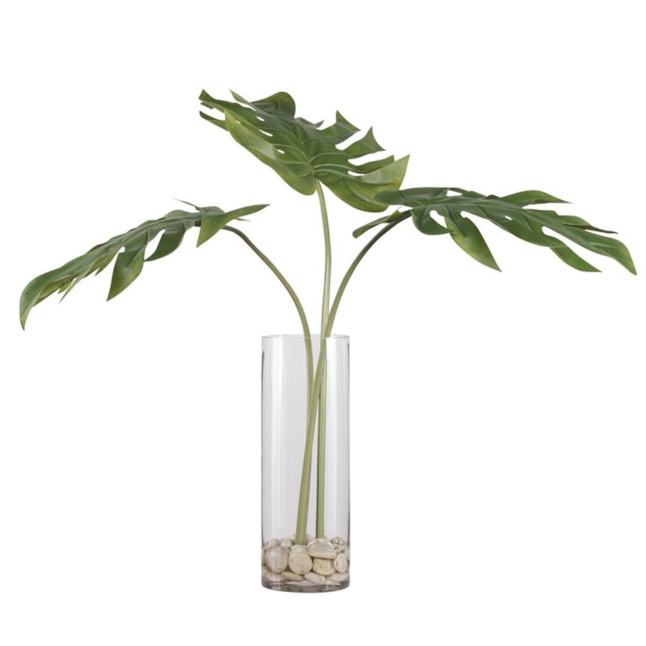 Ibero Split Leaf Palm by Uttermost