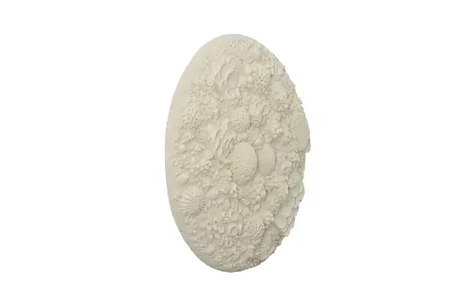 Coral Reef Wall Art, Round by Phillips Collection