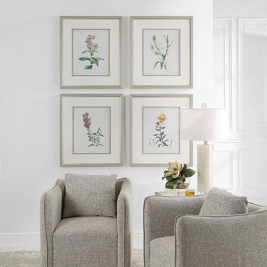 Heirloom Blooms Study Framed Prints Set/4 by Uttermost