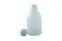 Frosted Glass Bottle, MD by PHILLIPS COLLECTION