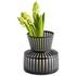 Lined Up Vase in Black by Cyan Design
