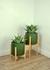 Century Tall Planter in Khaki Green Matte Finish 27" Height by lePresent