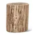 Petrified Wood Stump, Fully Polished by Urbia Imports