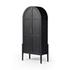 Tolle Panel Door Cabinet In Drifted Mat Blk by FOUR HANDS