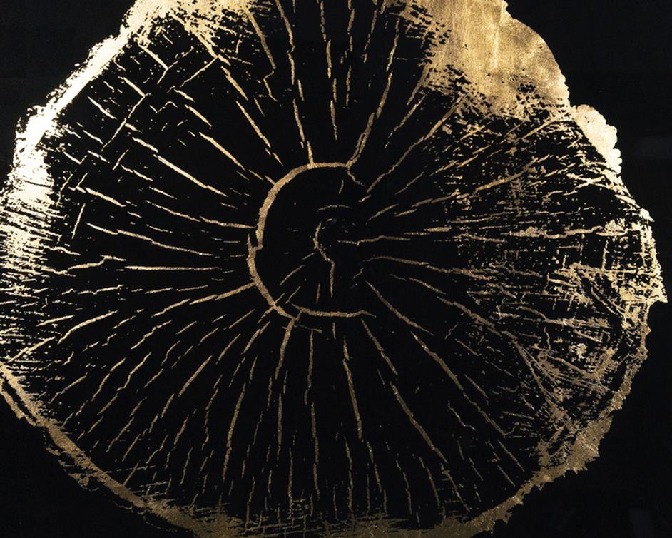 TIME LINES (SET OF 4) - 30" X 30" - CHARCOAL FRAME by Sunpan