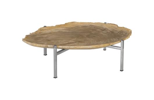 Petrified Wood Tray, Stainless Steel Base, Assorted Styles and Sizes by PHILLIPS COLLECTION