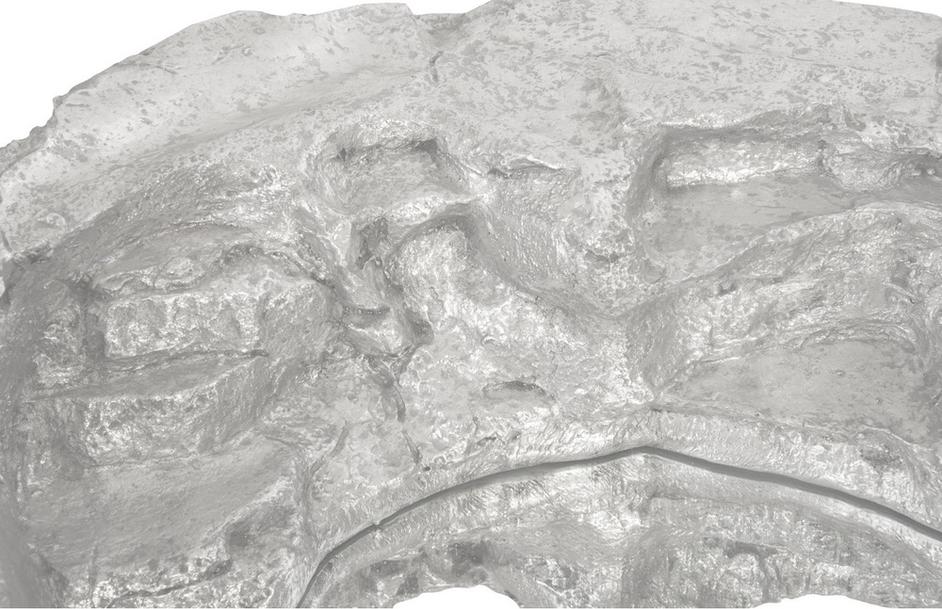 Rock Pond Mirror A, Silver Leaf by PHILLIPS COLLECTION