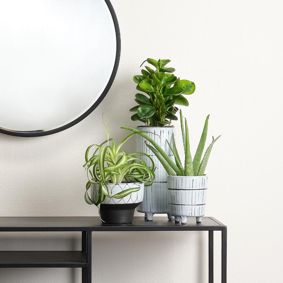 Striae Ceramic Decorative Vessels (Set of 3) by Jamie Young