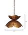Flowering Lotus 1-Light Iron Pendant, Antique Gold, Large by Jamie Young
