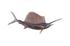 Sail Fish Wall Sculpture, Resin, Copper Patina Finish by PHILLIPS COLLECTION