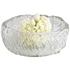 Clearly Thorough Bowl in Clear by Cyan Design