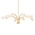ORINDA Chandelier by Troy
