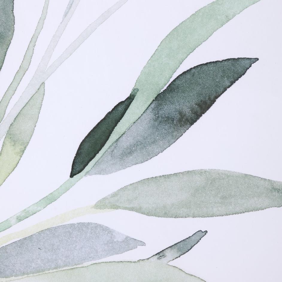 Simple Sage Watercolor Prints, S/3 by Uttermost