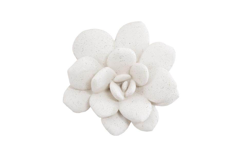 Laui Succulent Wall Art, White Stone by PHILLIPS COLLECTION