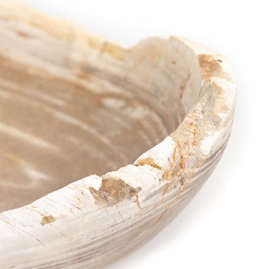 Oval Petrified Wood Bowl In Petrified Wood by FOUR HANDS