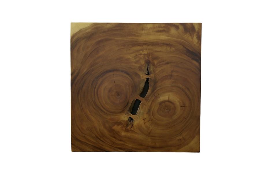 Overflow Coffee Table, Natural, Iron by Phillips Collection