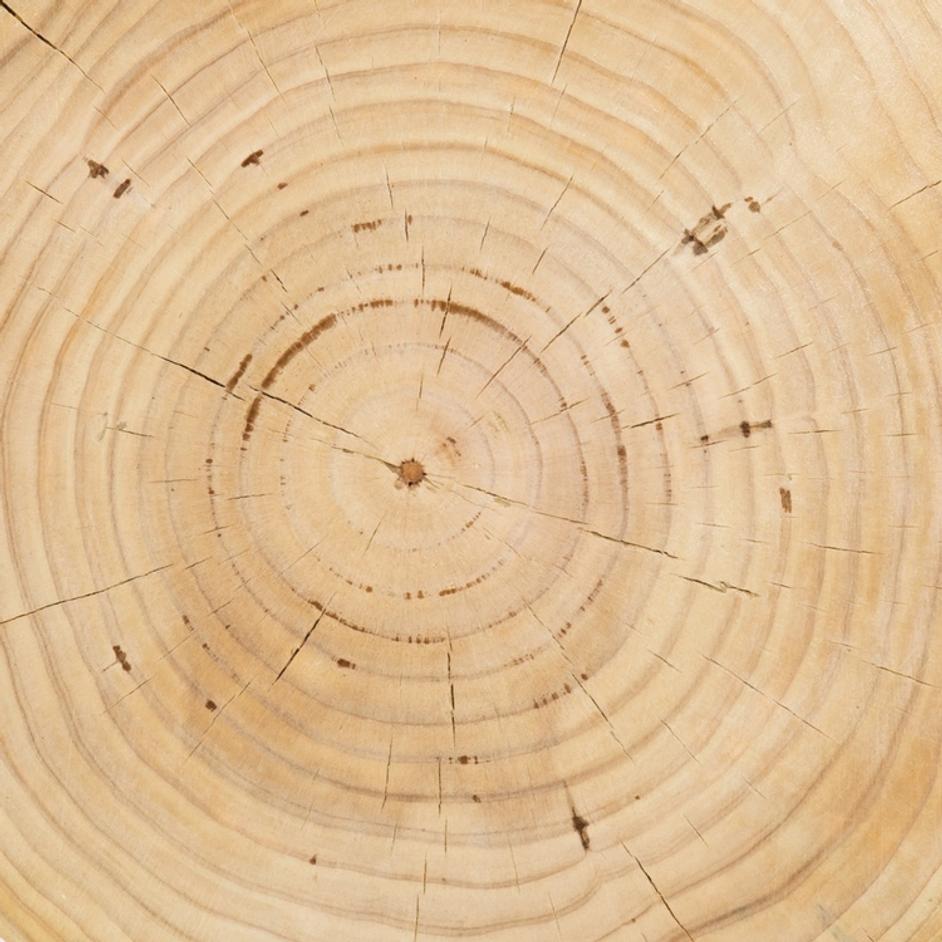 Aliza End Table by FOUR HANDS