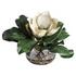 Celia Silk Magnolia Accent by Uttermost