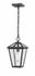 Talbot 1 Light Outdoor Chain Mount Ceiling Fixture in Rubbed Bronze Finish by Z-Lite