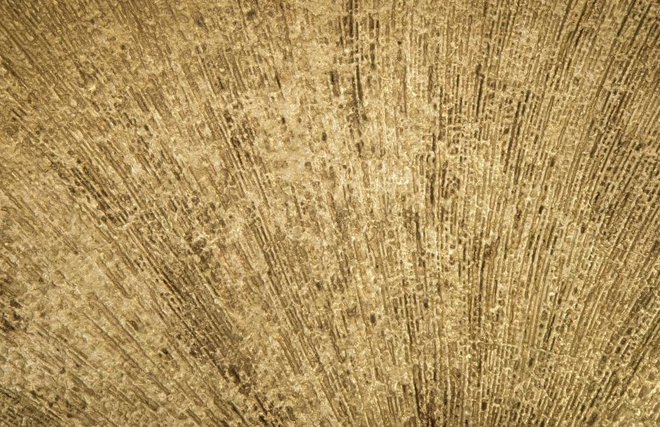 Convergence Mirror, Resin, Gold Leaf by PHILLIPS COLLECTION